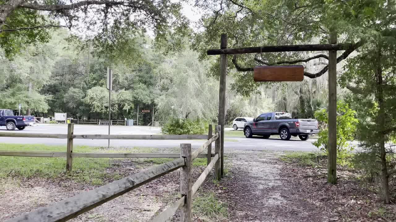 Silver Springs State Park Misjudged Alligators