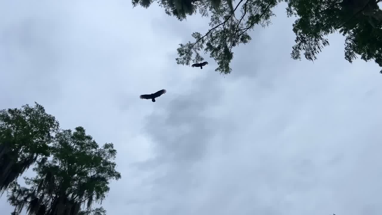 Spanish Pond Loop Trail - florida Common Misconceptions :  Spanish Pond Loop Trail