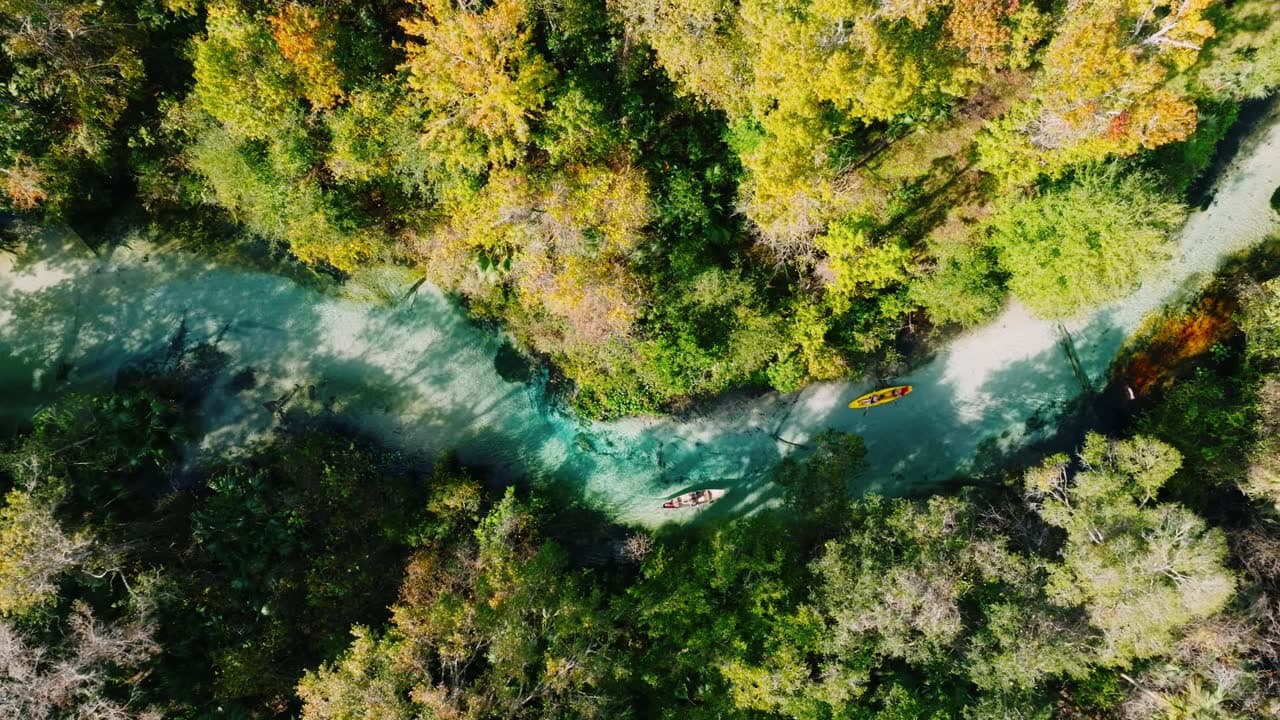 Brunson Landing Spring Captivating Wildlife Encounters