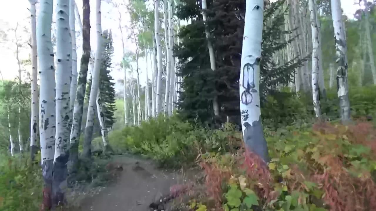 Booth Falls Hiking Trail - Colorado Key Features or Elements : Booth Falls Hiking Trail