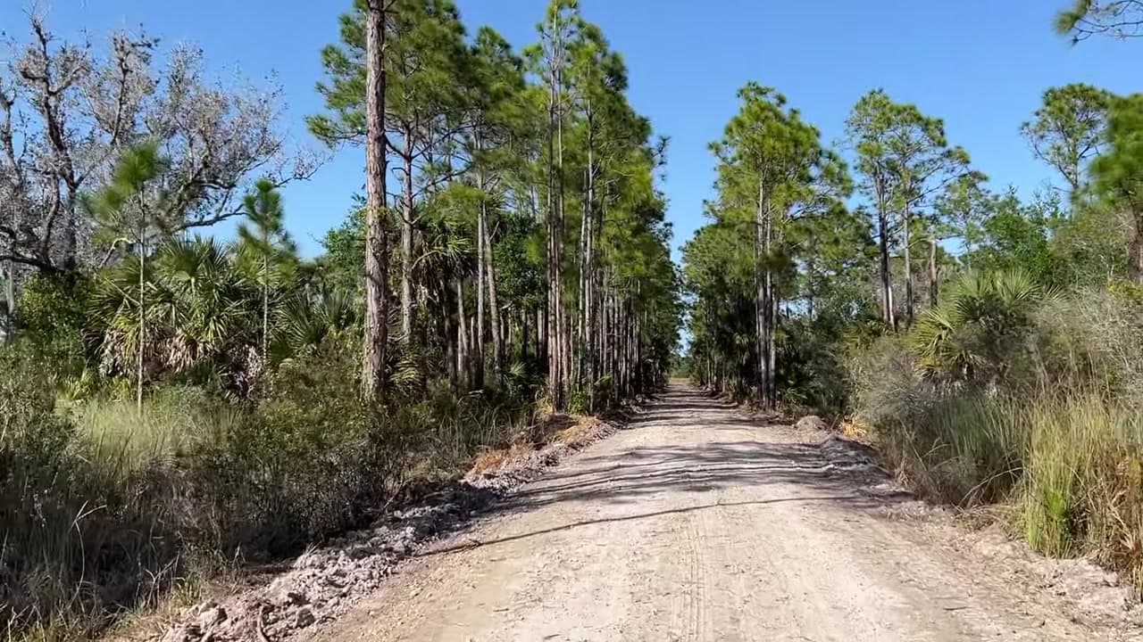 Okaloacoochee Slough State Forest - Florida Common Misconceptions : Okaloacoochee Slough State Forest