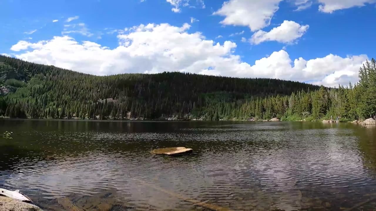 Nymph Lake Trail - Colorado Key Features or Elements : Nymph Lake Trail