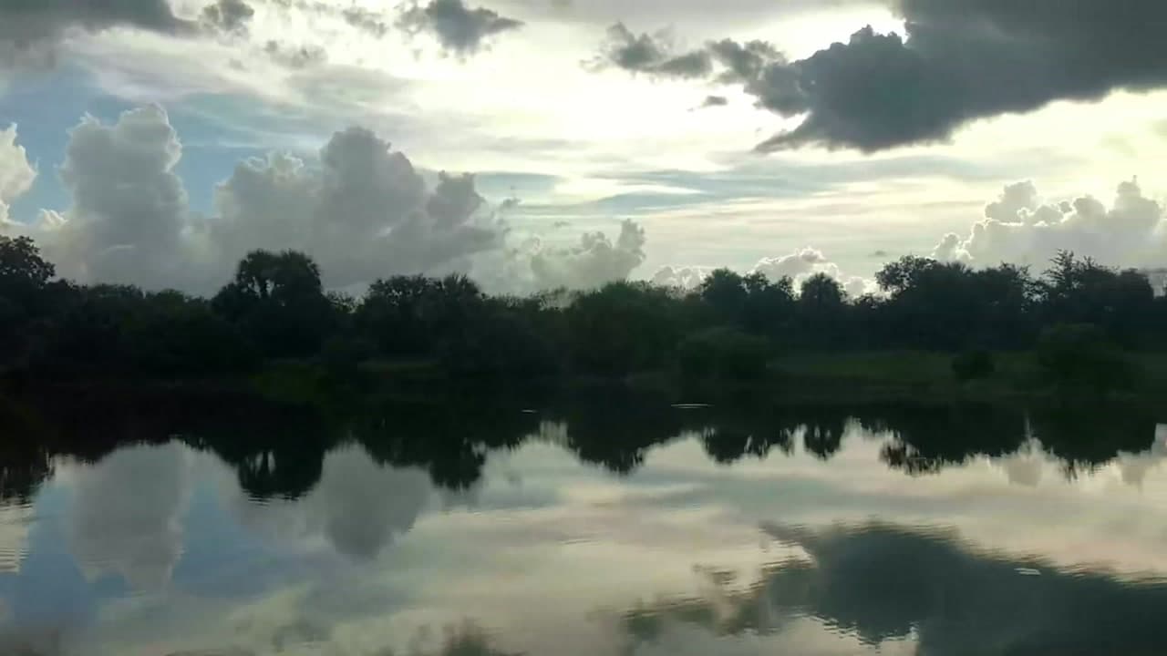Okaloacoochee Slough State Forest - Florida What Else to Enjoy : Okaloacoochee Slough State Forest