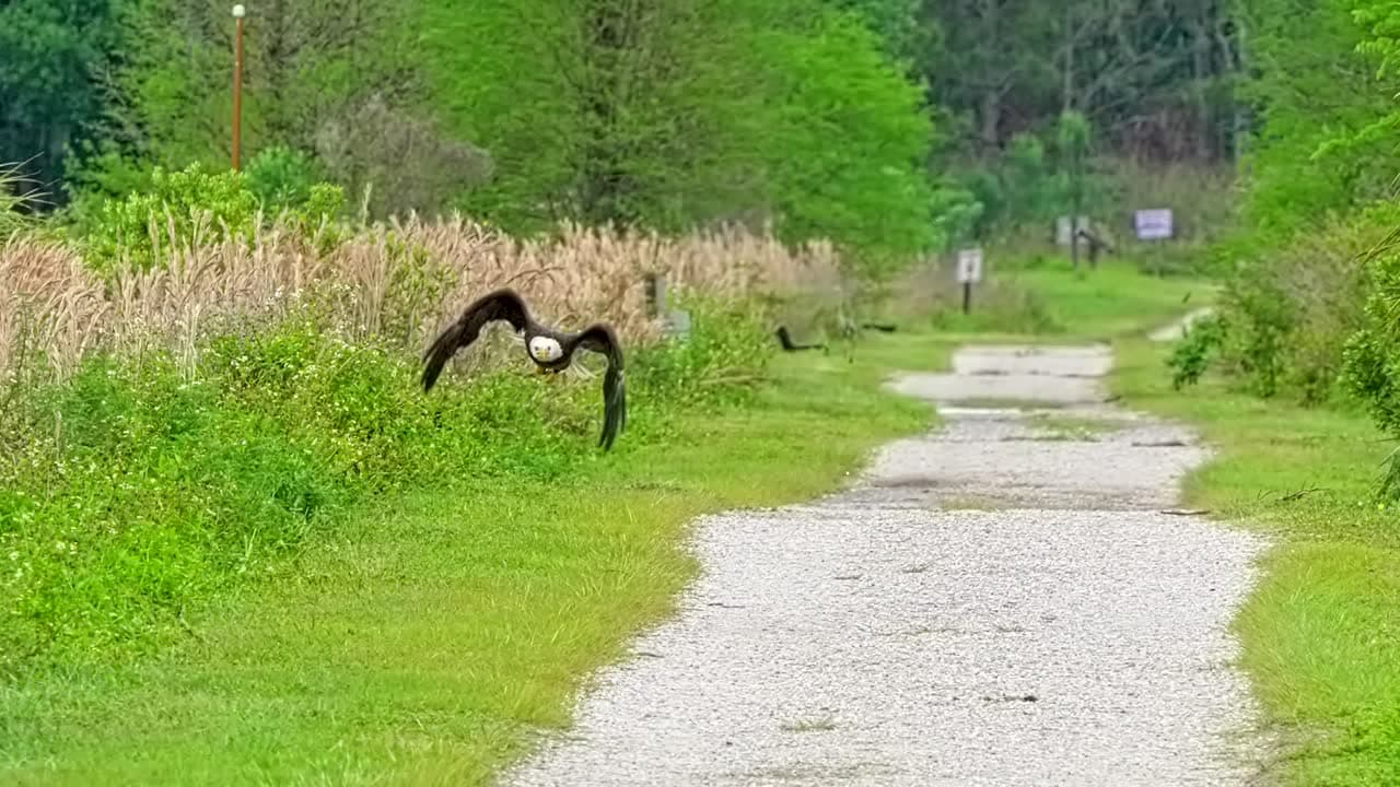 Spanish Pond Loop Trail - florida Introduction : Spanish Pond Loop Trail